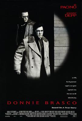 忠奸人DonnieBrasco[电影解说]