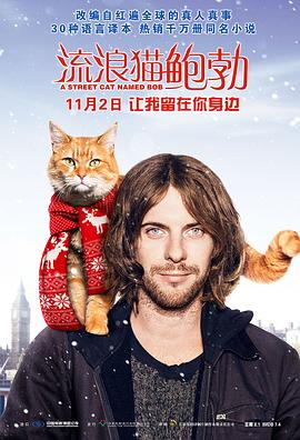 流浪猫鲍勃AStreetCatNamedBob[电影解说]