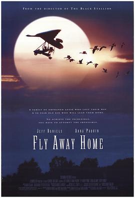 伴你高飞FlyAwayHome[电影解说]
